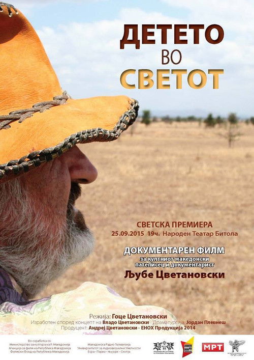 Child in the World (2015) poster