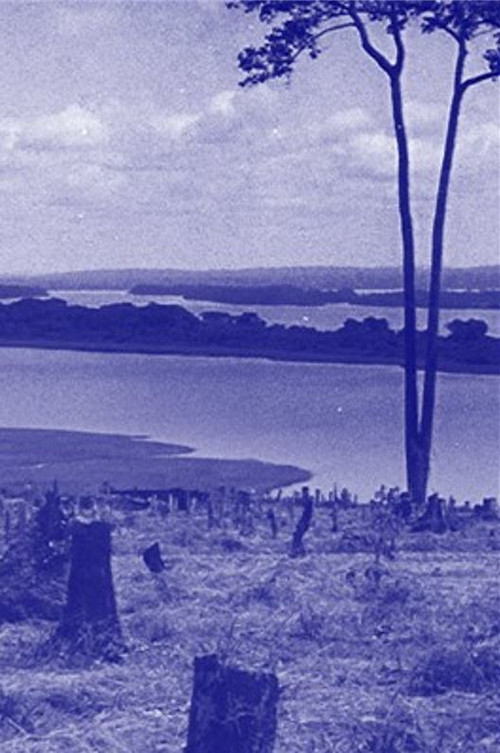 Brave New World (2015) poster