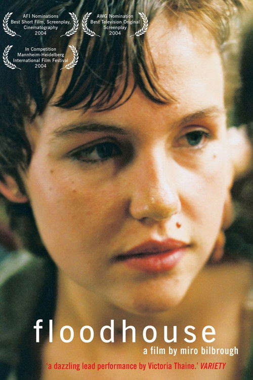 Floodhouse (2003) poster