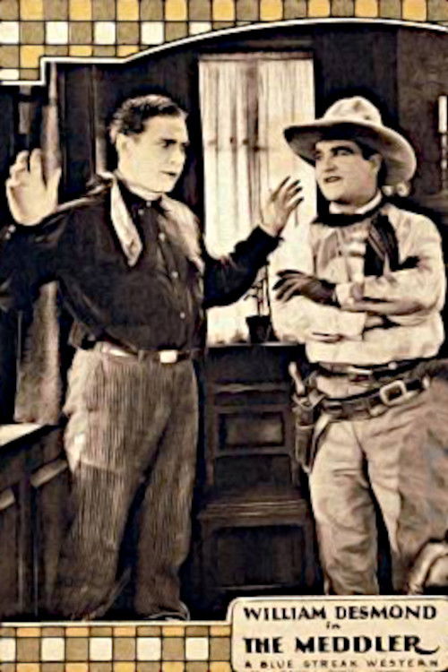 The Meddler (1925) poster