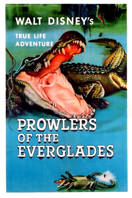 Prowlers of the Everglades (1953) poster