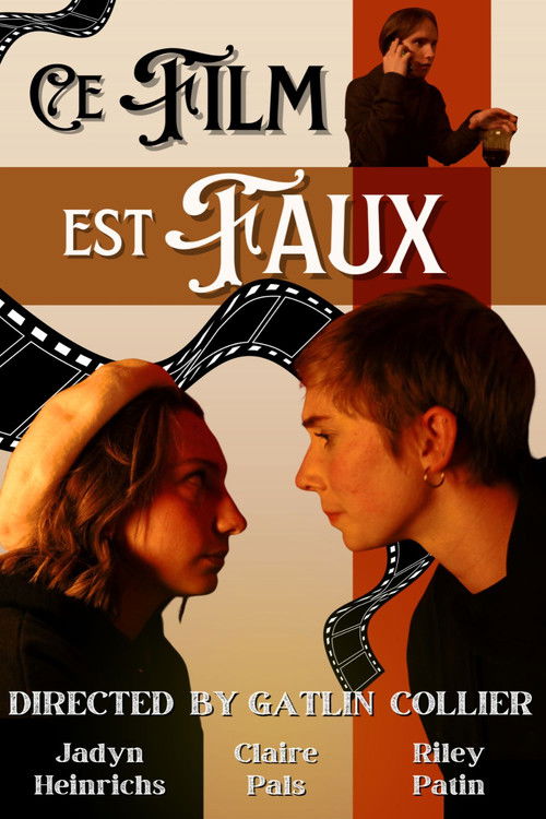 Ce Film Est Faux (2025) poster