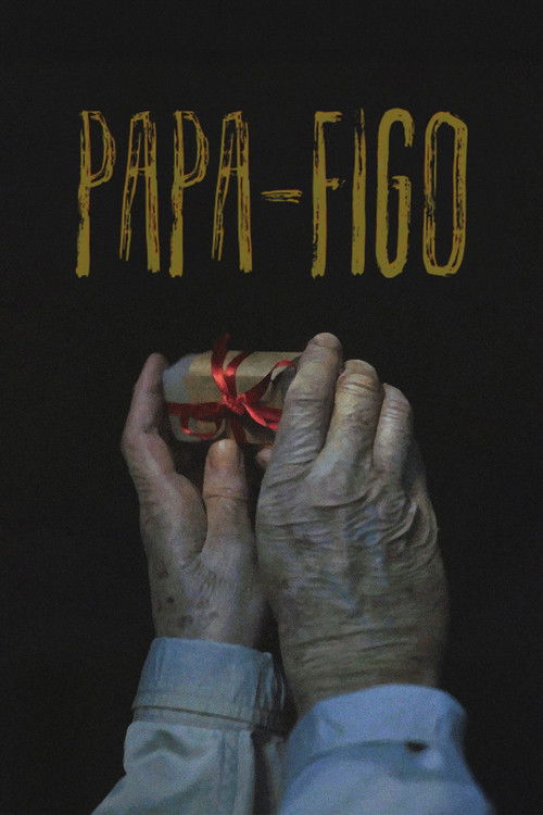 Papa-Figo (2018) poster