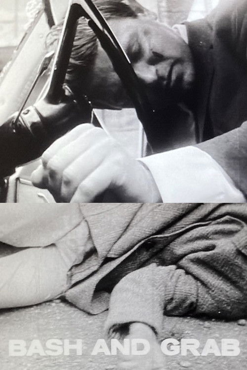 Bash and Grab (1965) poster