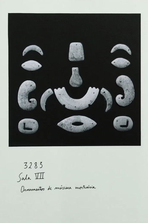 Luminous Shadow (2018) poster