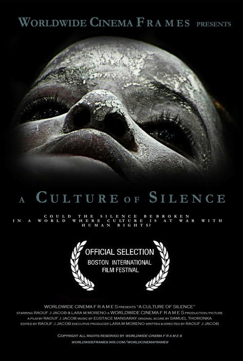 A Culture of Silence (2013) poster