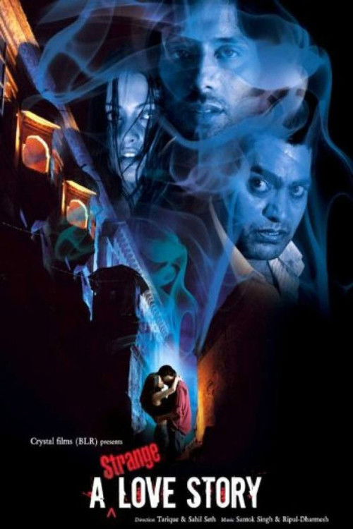 A Strange Love Story (2011) poster