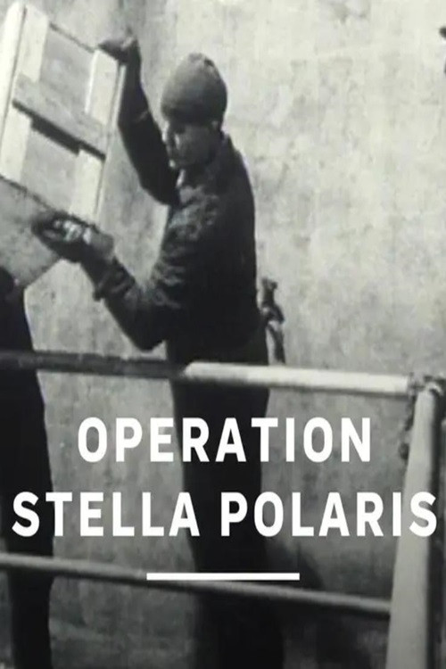 Operation Stella Polaris (1995) poster