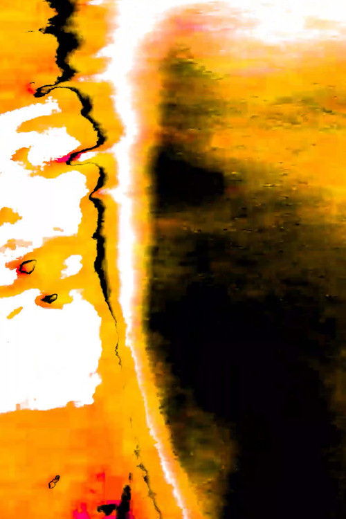 Pulmão Vagalume (2024) poster