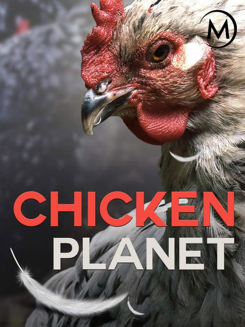 Chicken Planet (2016) poster