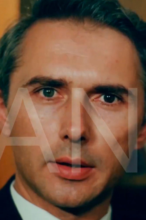 The Judicial Experiment (1988) poster