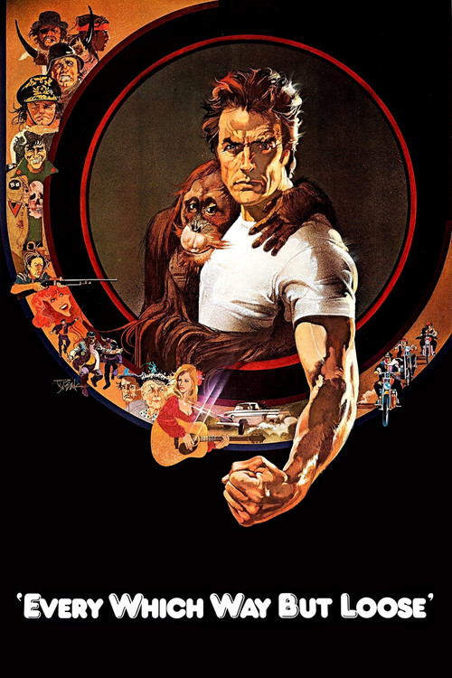 Dalgacının Kralı (1978) poster