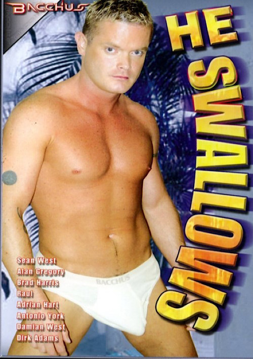 He Swallows (2003) poster