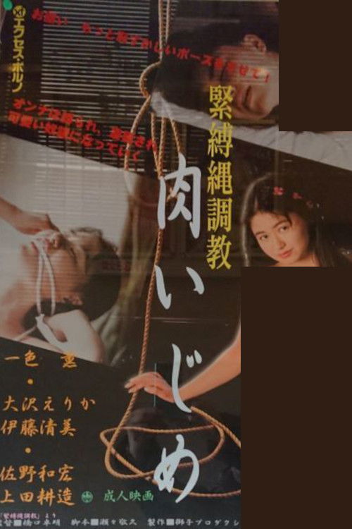 Bondage Rope Training (1992) poster