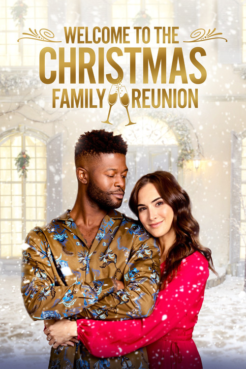 Welcome to the Christmas Family Reunion (2021) poster