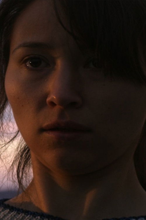 The Last Walk: Greenland (2016) poster