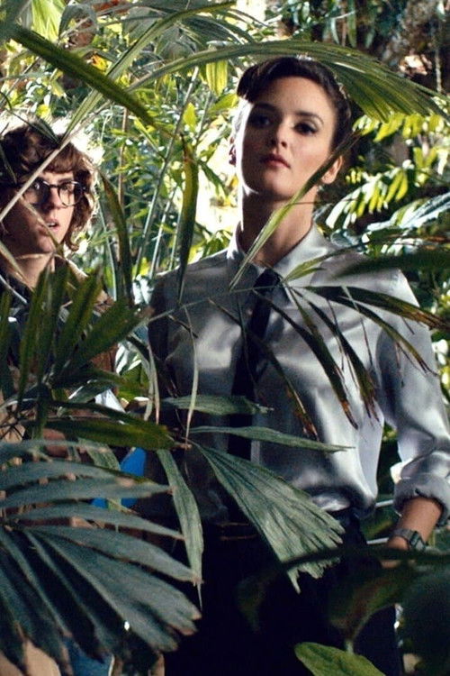 Vengeance et terre battue (2014) poster