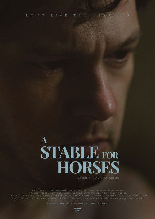 A Stable for Horses (2025) poster
