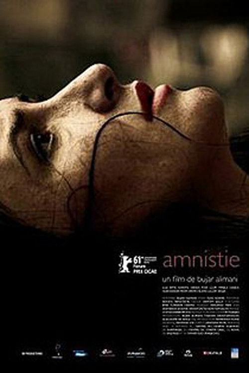 Amnesty (2012) poster