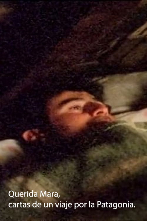 Querida Mara, cartas de un viaje por la Patagonia (2008) poster