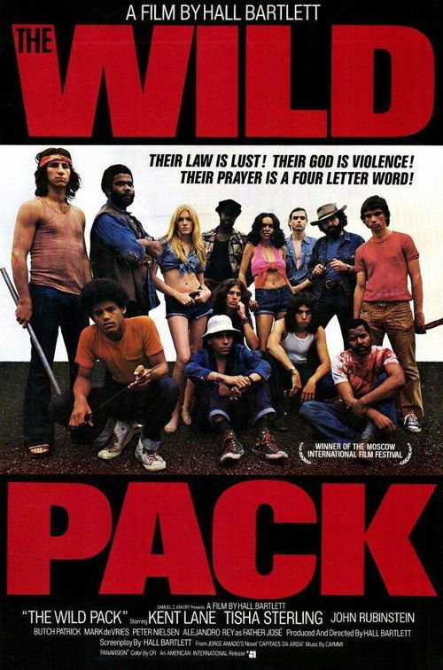 The Sandpit Generals (1972) poster