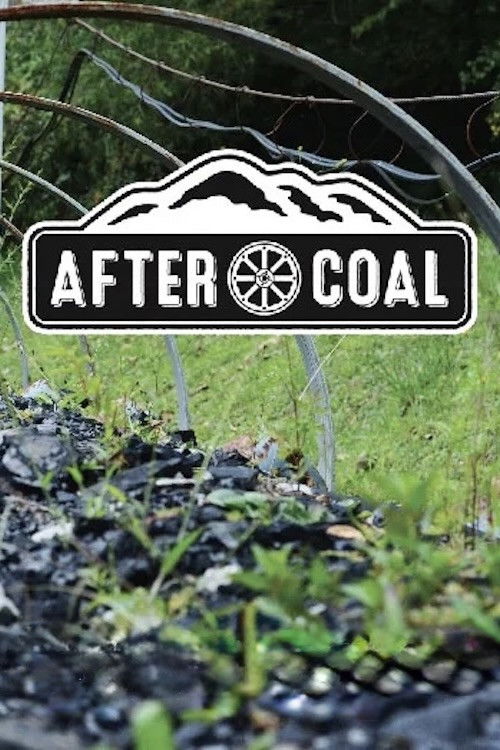 After Coal: Welsh and Appalachian Mining Communities (2016) poster