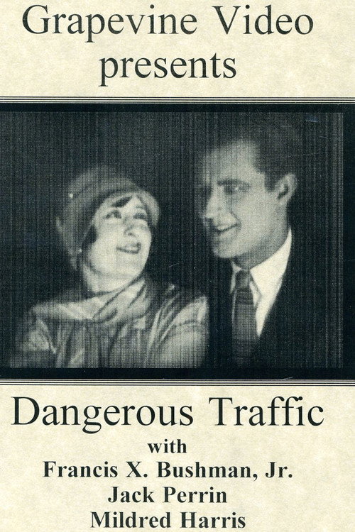 Dangerous Traffic (1926) poster