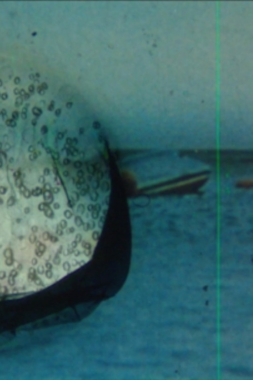 Double Talk II (2020) poster