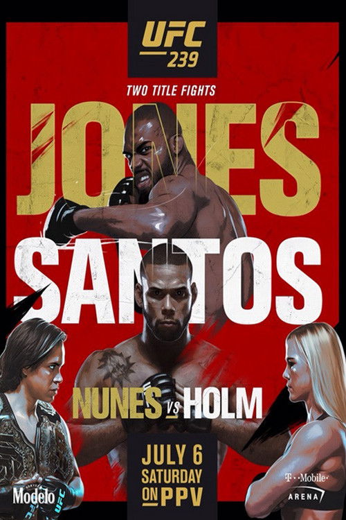 UFC 239: Jones vs. Santos (2019) poster