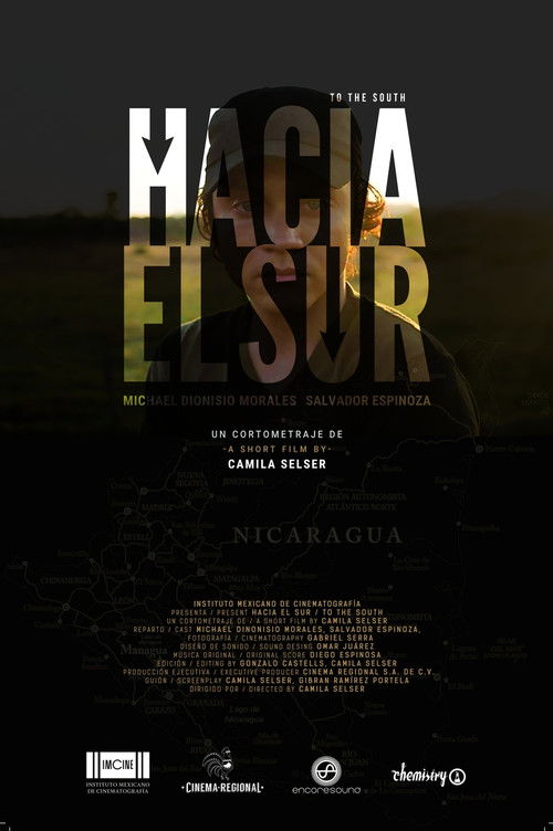 Hacia el sur (2017) poster
