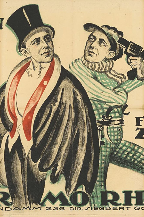 Der Apachenlord (1920) poster