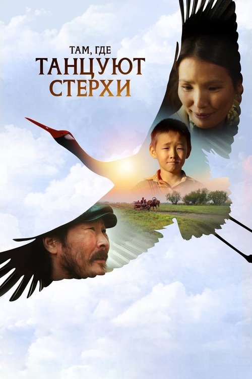 Там, где танцуют стерхи (2024) poster