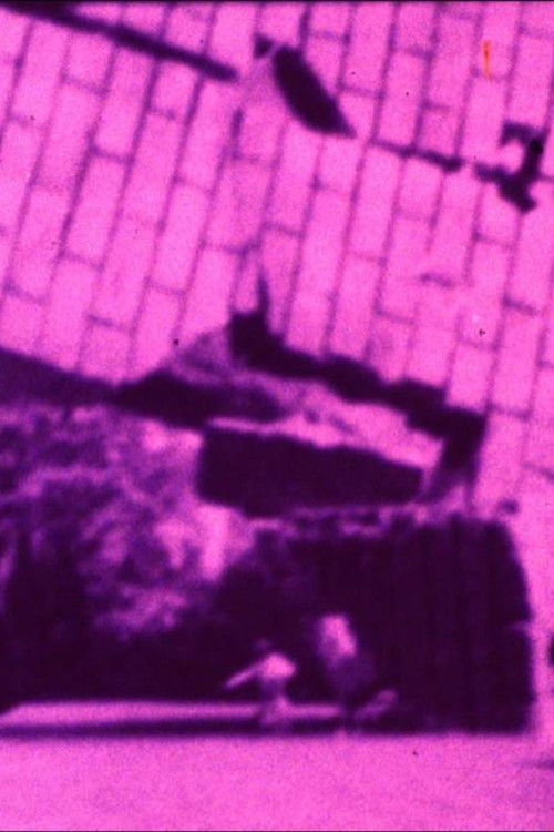 Something is Seen But One Doesn't Know What (1986) poster