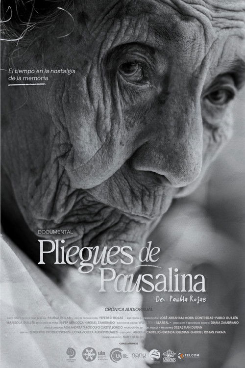 Pliegues de Pausalina (2025) poster
