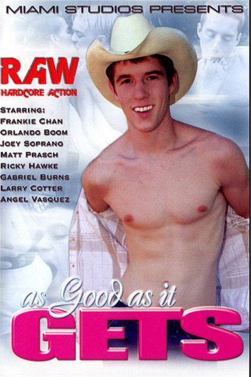 As Good As It Gets (2008) poster