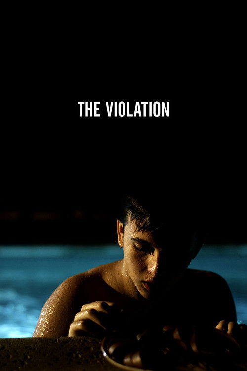 The Violation (2013) poster