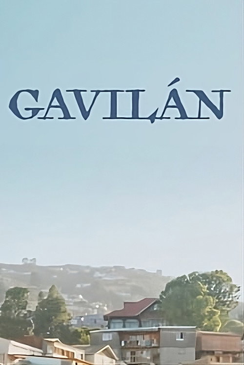 Gavilàn (2023) poster