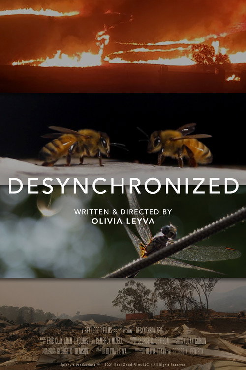 Desynchronized (2021) poster