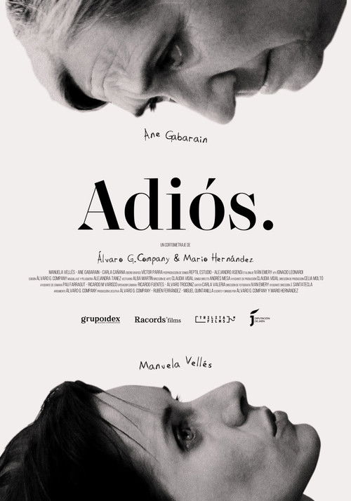 Adiós (2024) poster