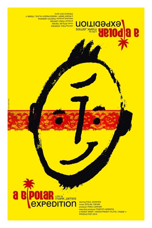 A Bipolar Expedition (2010) poster