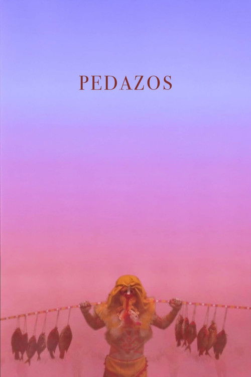 Pedazos (2016) poster