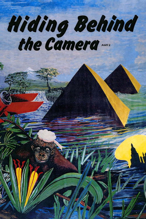 Hiding Behind the Camera, Part 2 (2004) poster