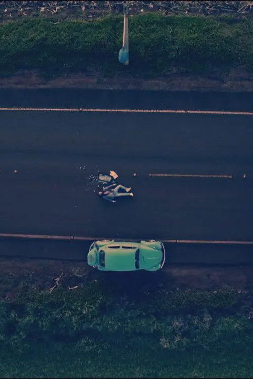 Quase Tudo Sobre Minha Avó (2023) poster