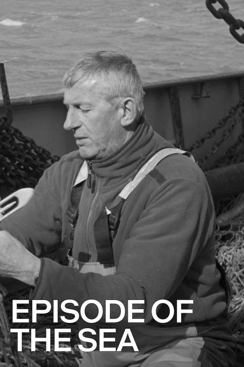 Episode of the Sea (2014) poster