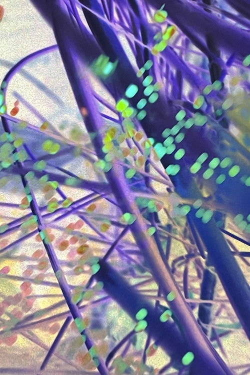 Peeping Freedom Pavilion for Sojourner Truth (Apollomat horizontal screen PFP) (2020) poster