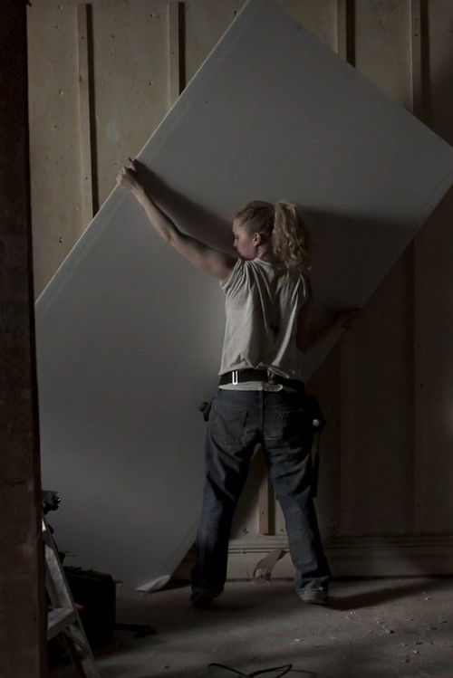 The Apartment (2012) poster