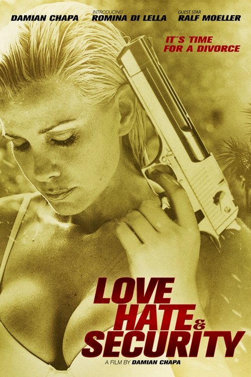 Love, Hate & Security (2014) poster
