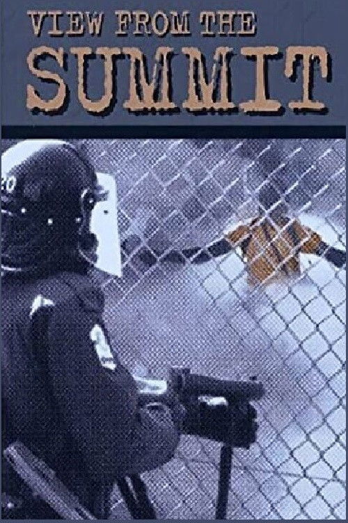 View from the Summit (2002) poster