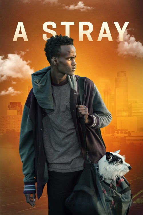 A Stray (2016) poster