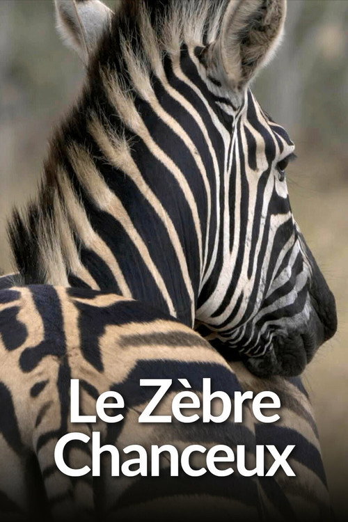 Le Zèbre chanceux (2023) poster